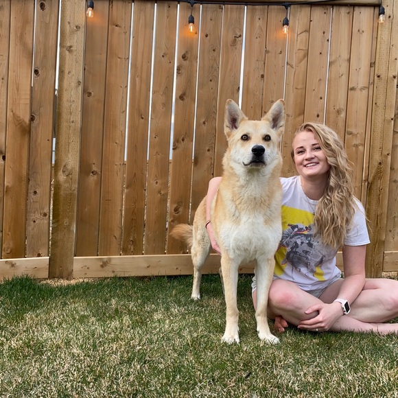 Meet your Posher, Laura - Picture 1 of 1